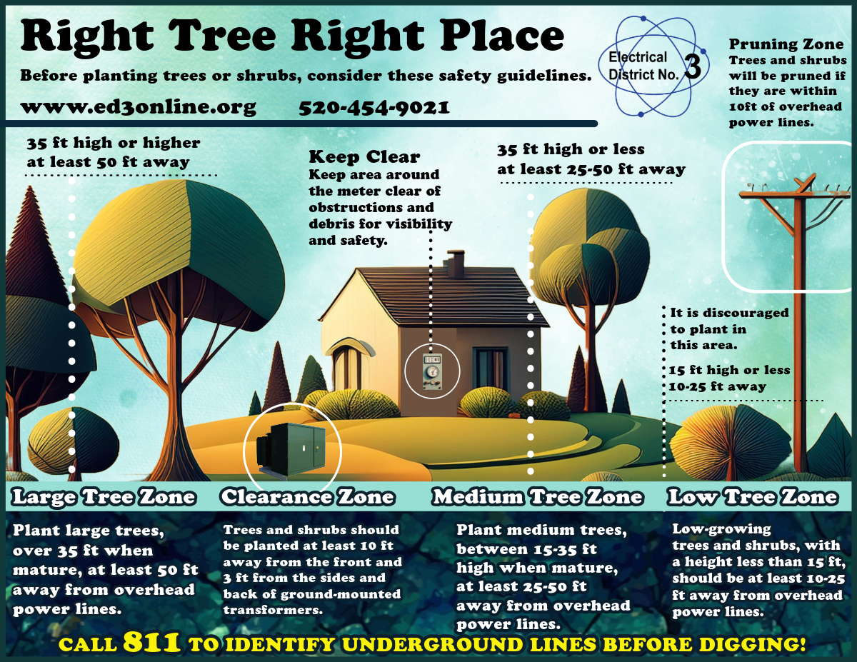 Tree Brochure Inside Website